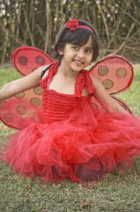 Ladybug Tutu Costume