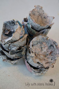 Recycled Seed Planters Recycled Seed Planters