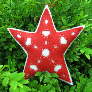 Hungarian Felt Star Ornament Hungarian Felt Star Ornament