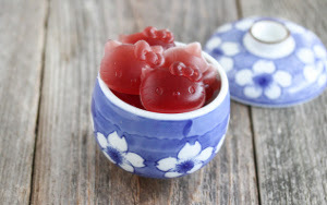 Homemade Healthy Fruit Snacks