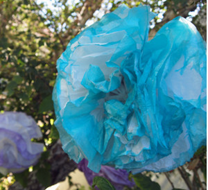 Paper Dip-Dyed Pom Poms