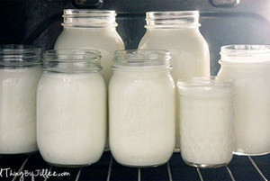 Slow Cooker Greek Yogurt