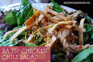 Bajio Chicken Chile Salad Copycat
