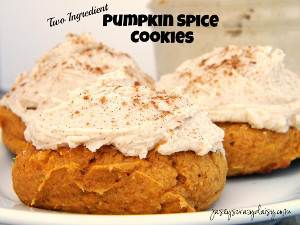 Two Ingredient Pumpkin Spice Cookies