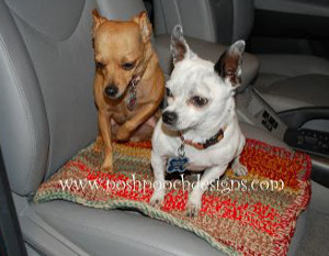 Cozy Crochet Car Blanket Allfreecrochet Com