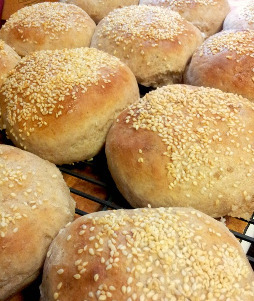 Make Your Own Hamburger Buns Make Your Own Hamburger Buns