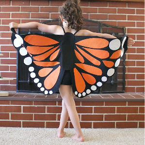 DIY Monarch Butterfly Wings