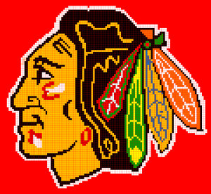 Chicago's Favorite Hockey Afghan