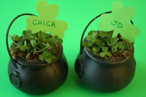 Pot of Clover Place Cards