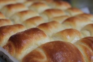 Homemade Lion House Rolls