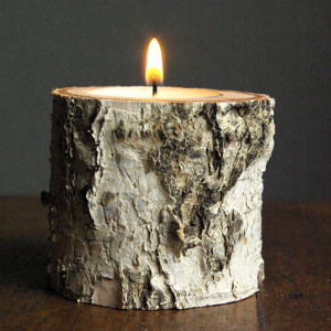 Beautiful Birch DIY Candle Holders