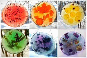 Nature Inspired Frozen Suncatchers Nature Inspired Frozen Suncatchers