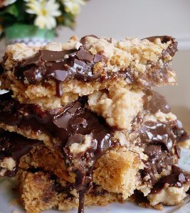Fudge Revel Bars