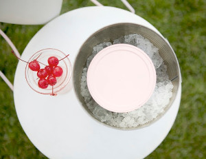 Kick the Can Homemade Ice Cream