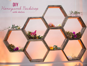 Sweet as Honey Geometric Backdrop