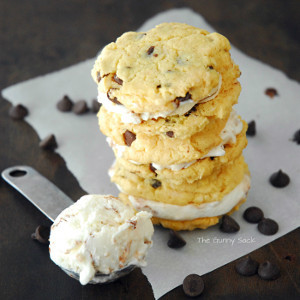 Chocolate Chip Fro-Yo Sandwiches