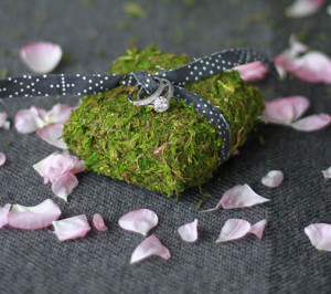One-of-a-Kind DIY Moss Ring Pillow
