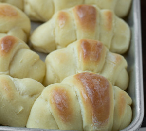 Rolls Royce Dinner Rolls