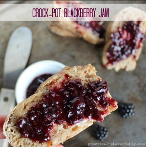 3-Ingredient Slow Cooker Blackberry Jam
