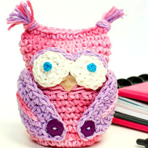 Owl Obsessed Crochet Cozy
