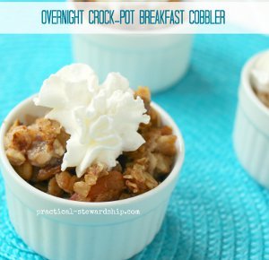 Overnight Slow Cooker Breakfast Cobbler