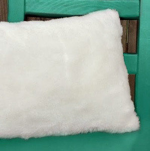 Fuzzy Fur Pillow