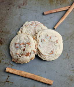 Sassy Cinnamon Chip Sugar Cookies