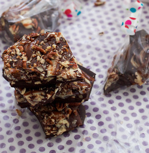 Indulgent Turtle Bark