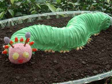 Caterpillar Cake