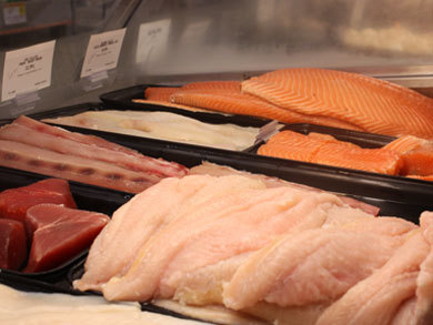 Smart Tips for the Fish Counter