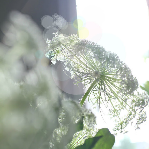 Adding Bokeh Sun Spots to Your Photos Adding Bokeh Sun Spots to Your Photos IMR