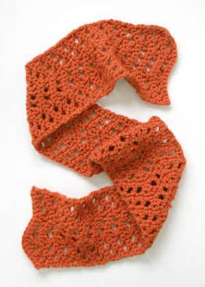Lacy Pumpkin Scarf