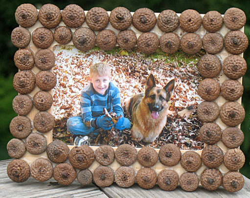 Fall Acorn Frame
