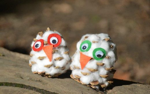 Pine Cone Snowy Owl