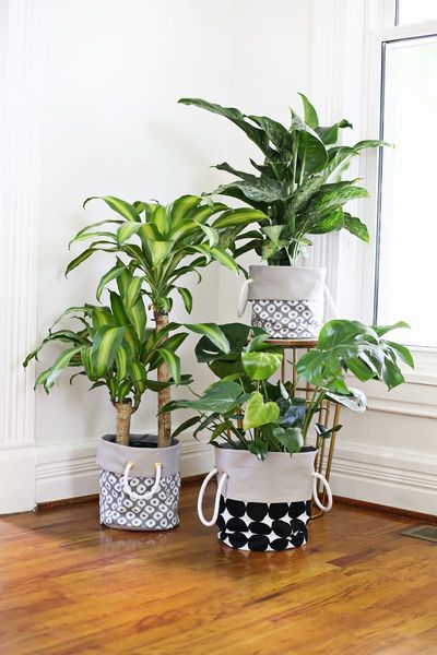 Potted Plant Fabric Basket Tutorial