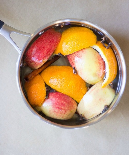 Homespun Apple and Spice Stove Top Potpourri