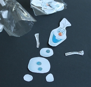 Frozen-Inspired Magnetic Party Favors
