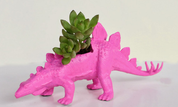 5 Dollar Dinosaur Planters 5 Dollar Dinosaur Planters