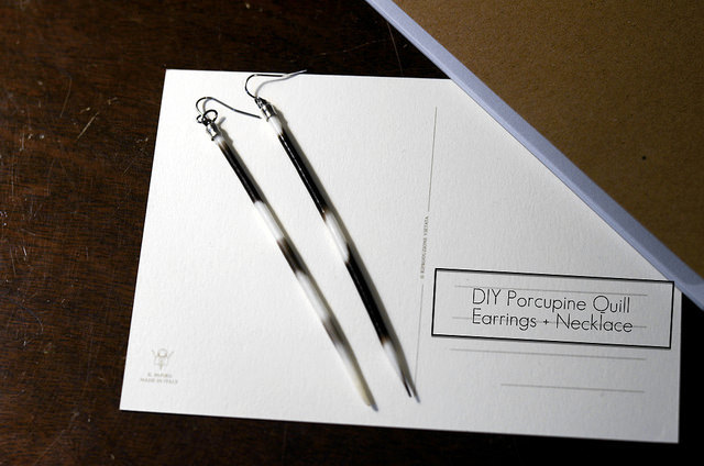 Porcupine Spine Earrings Porcupine Spine Earrings