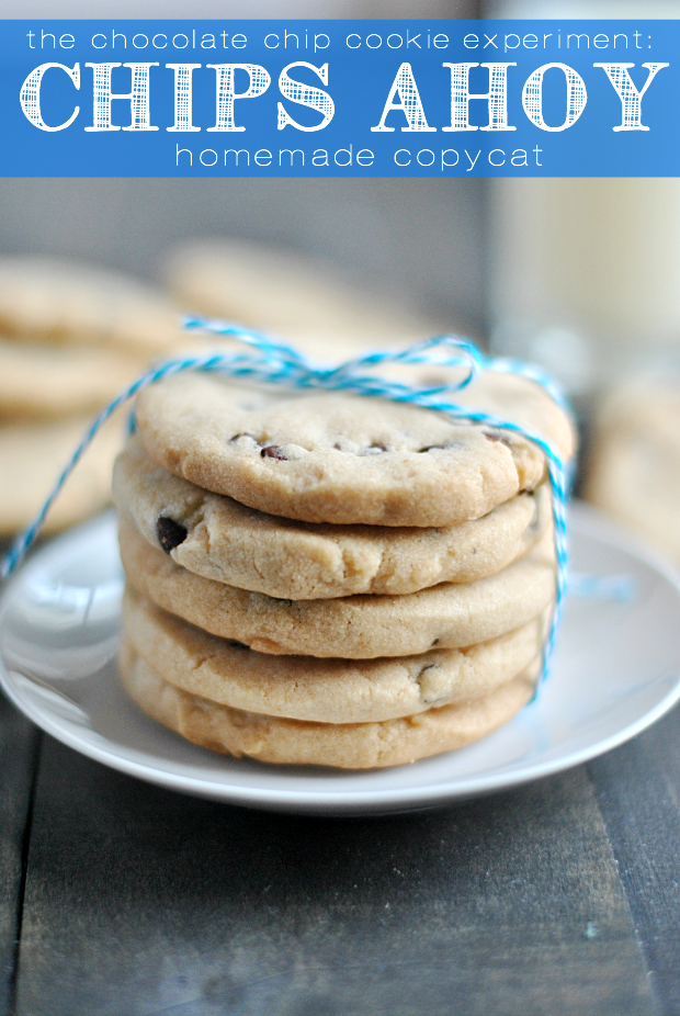 Homemade Chips Ahoy Cookies | AllFreeCopycatRecipes.com