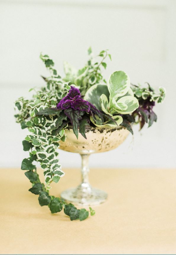 Untamed Garden DIY Centerpiece Untamed Garden DIY Centerpiece