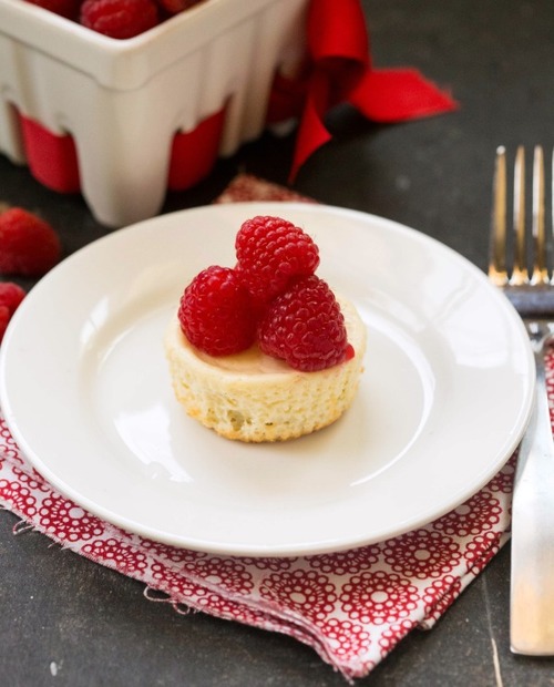 Mini Vanilla Cheesecakes Mini Vanilla Cheesecakes