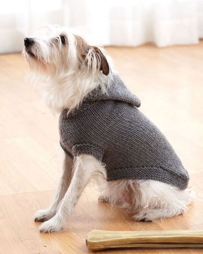 Sparky's Favorite Knit Sweater