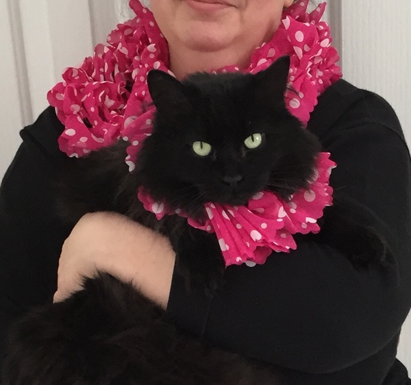 Kitty and Me Scarves DIY Craft Project