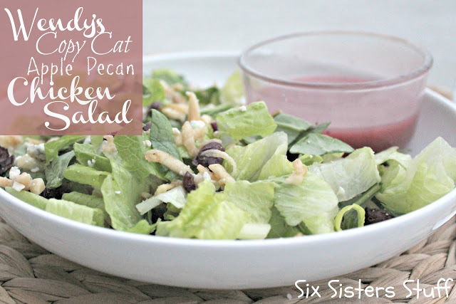 Copycat Wendy's Apple Pecan Chicken Salad Copycat Wendys Apple Pecan Chicken Salad