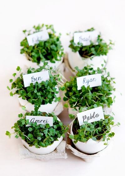 Eggshell Planter Place Cards Eggshell Planter Place Cards