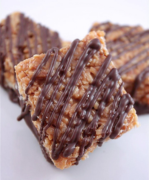 Homemade Girl Scout Samoa Bars Homemade Girl Scout Samoa Bars