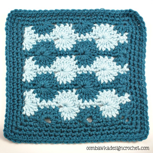 atherine Wheel Stitch Afghan Square