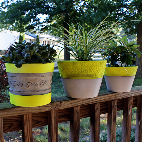 Neon Sunshine Planters