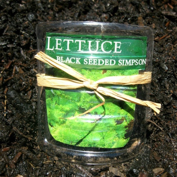 Garden Stakes from Recycled Bottles Garden Stakes from Recycled Bottles